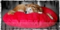 Preview: "Wolke7"-Kissen mit Fleece