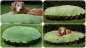 Preview: "Wolke7"-Kissen mit Fleece