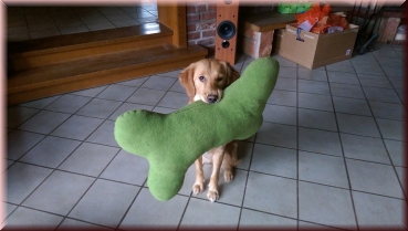 Kissen "Knochen"