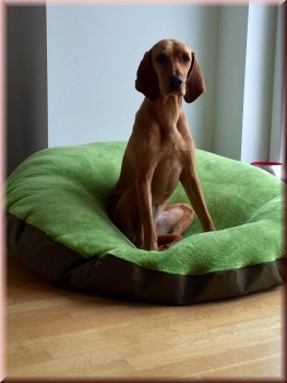 "Wolke7"-Kissen mit Fleece