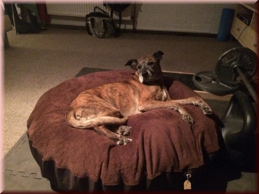 Preview: Ersatzbezug Fleece "Wolke7"