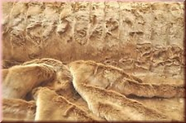 Preview: Ersatzbezug Webpelz "Wolke7"