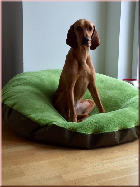 Ersatzbezug Fleece "Wolke7"