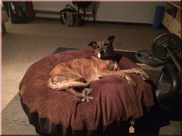 Ersatzbezug Fleece "Wolke7"