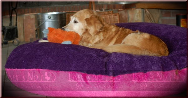 Ersatzbezug Fleece "Wolke7"