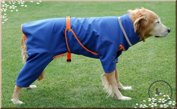 Softshellmantel mit Klick- oder Klettverschluß