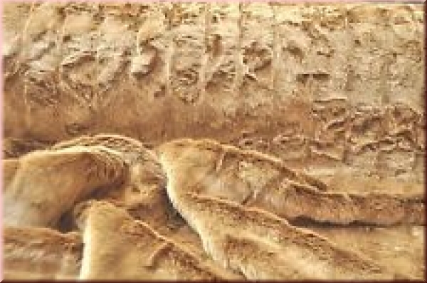 Ersatzbezug Webpelz "Wolke7"