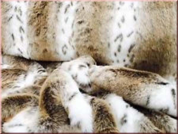 Ersatzbezug Webpelz "Wolke7"