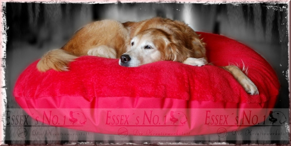 "Wolke7"-Kissen mit Fleece